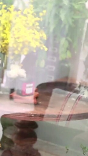 林心如做客型星下午茶