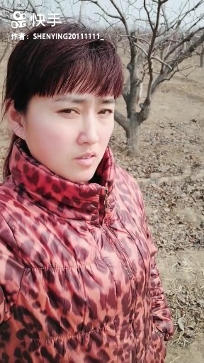 铁血丹心