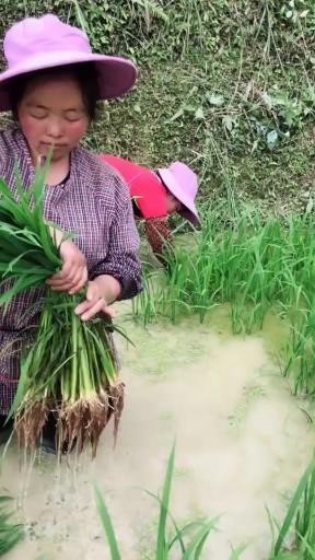 干就完了