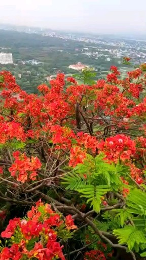 瓦城美景