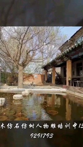 沈阳多色睡莲水系置景