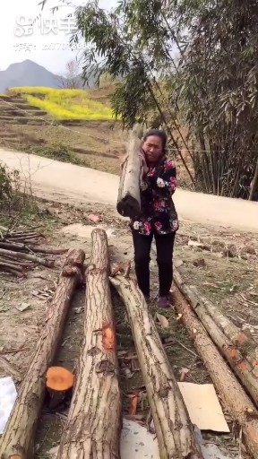 果然是亲儿子