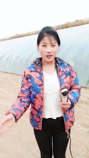 情火