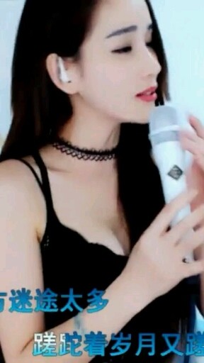 沙漠骆驼