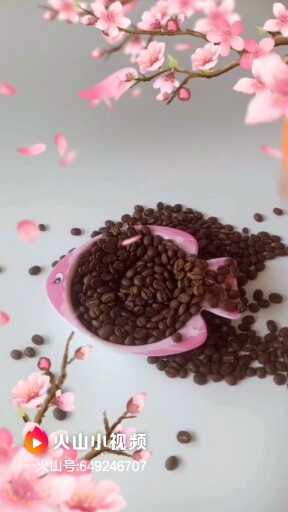 咖啡☕桃花