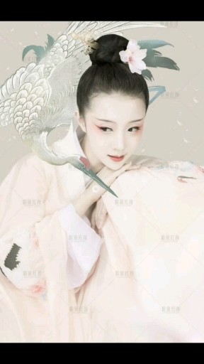 太和古装艺术照