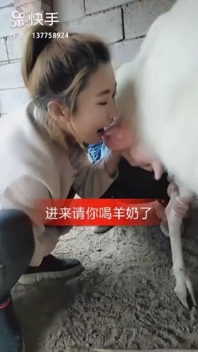 养羊妹