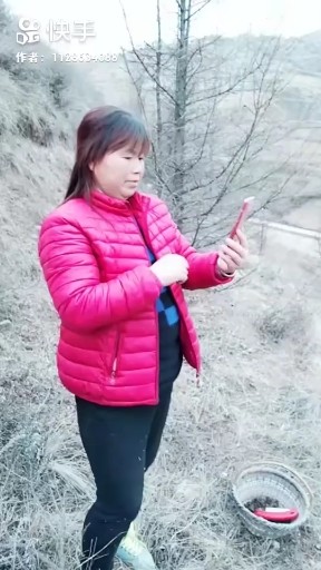 牛在飞