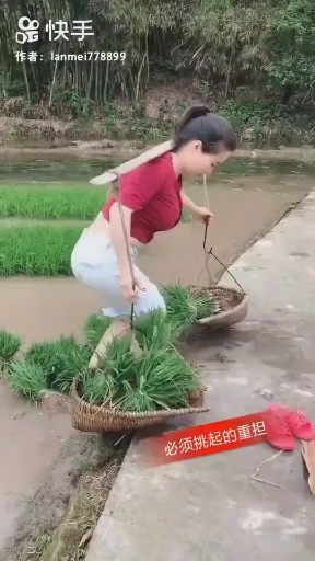 蓝莲花
