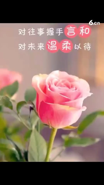 歌曲 快乐老家