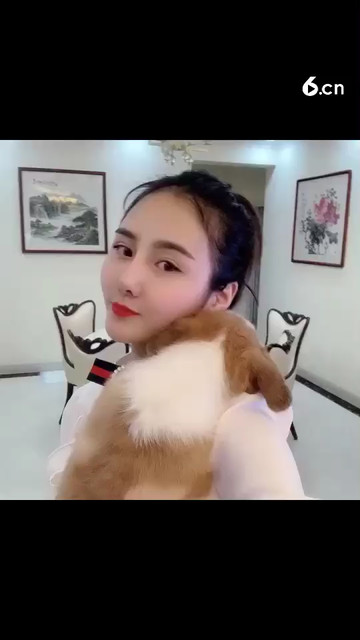 带上“法拉利”走一走