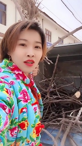 这是我为你们打下江山哟