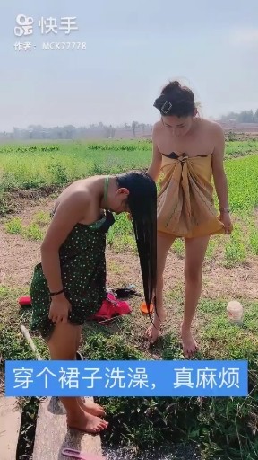 蒲公英