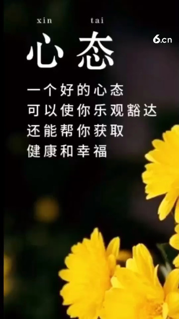 歌曲 新女人花