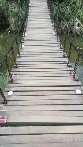 桥