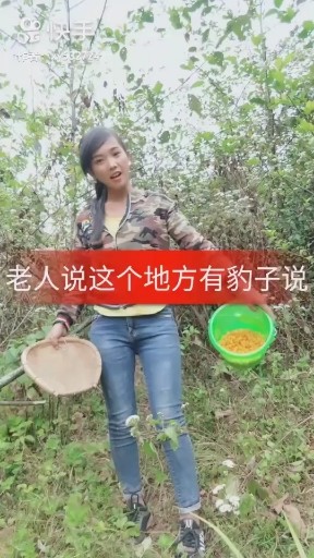 有人说这里有豹子啦