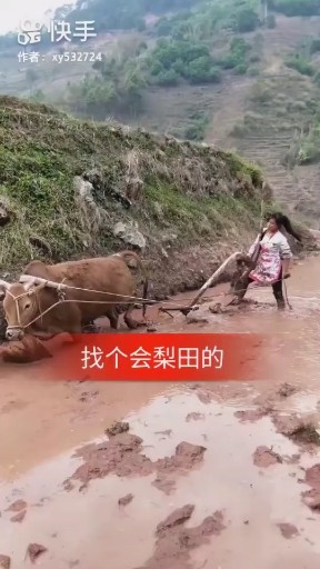 找个会犁田的