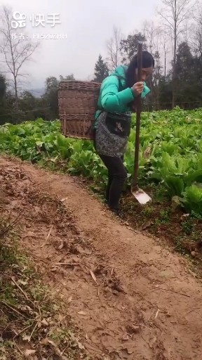 插曲
