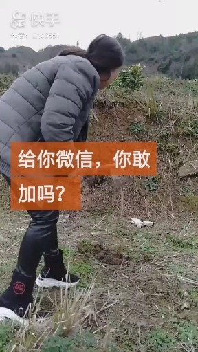 情火