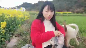 好看的油菜花😂