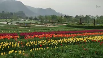 给力