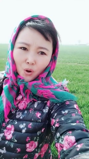 殇雪