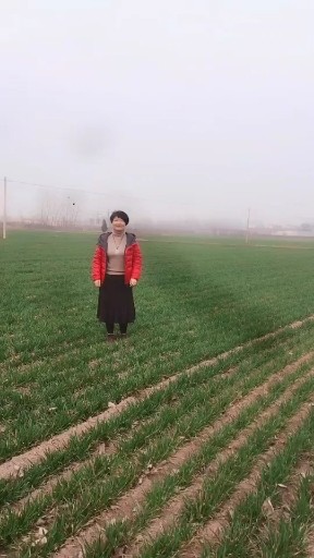 那个女孩