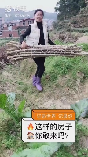 这样的房子你敢来吗
