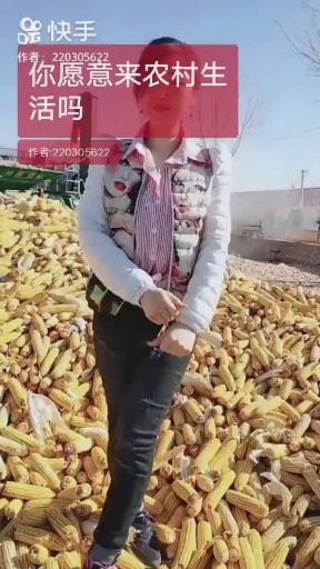 春暖花开