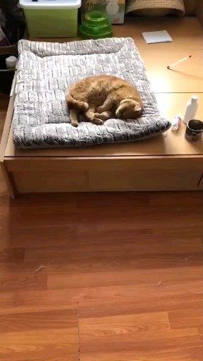 睡