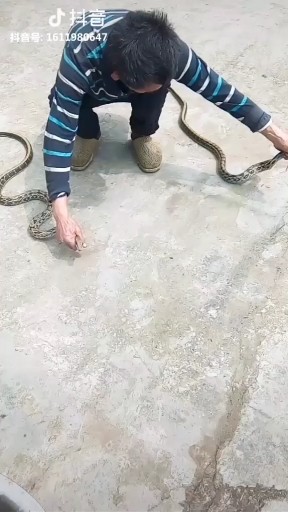 再怕你寂寞再怕你孤单