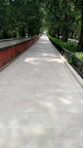 北京植物园  二十公里跑步 回