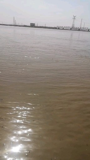 黄河
