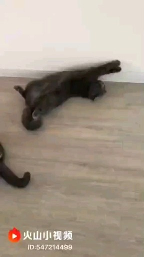 这睡姿