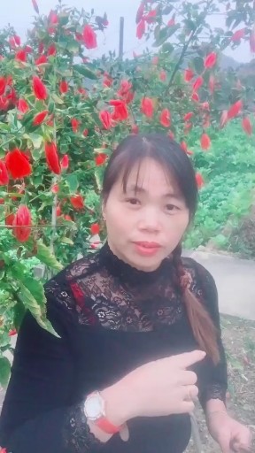 茶山阿妹