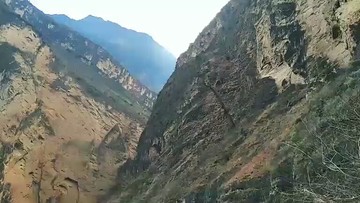 可以吗