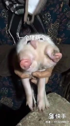 奇观