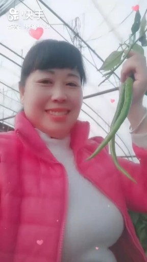 西海情歌