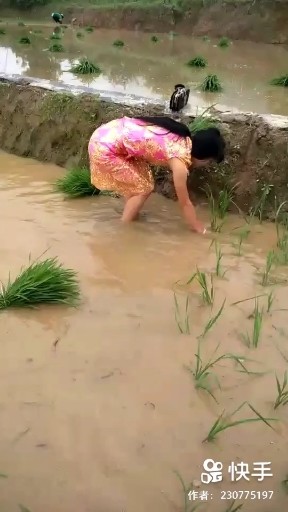 感谢你曾经来过