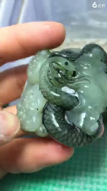 和田玉籽料翠青青蛇🐍