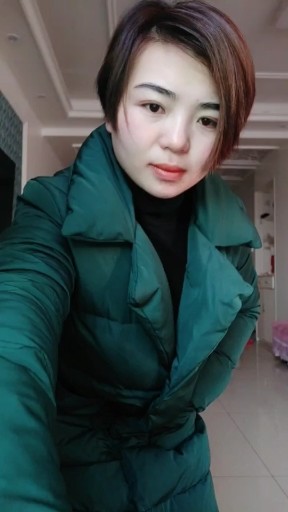 沙漠骆驼
