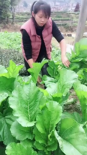 你怎么说