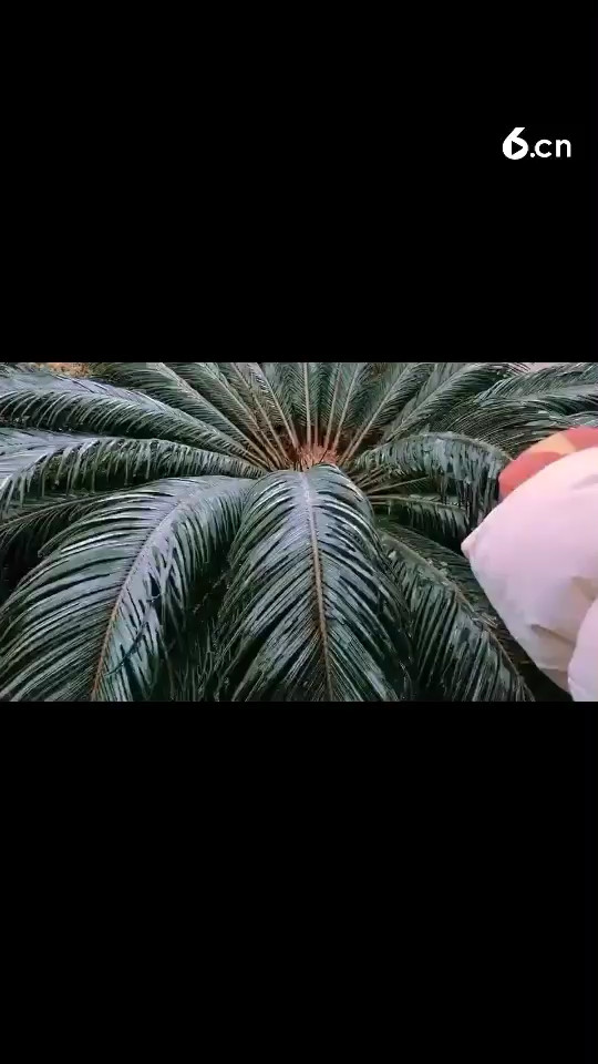 结冰了哈哈哈哈