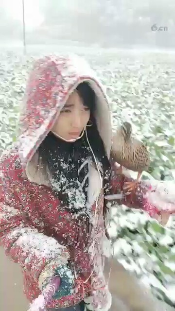❄❄❄❄❄