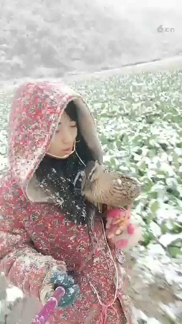 ❄❄❄❄❄❄