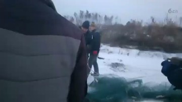 挂树根上了