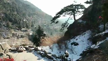 这是泰山