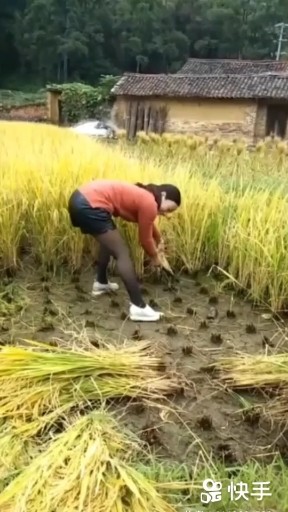 娶老婆，娶哪里的好