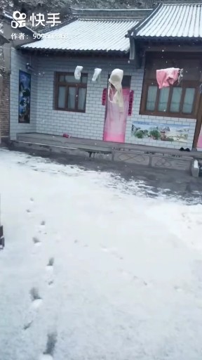 这城市大雪在下
