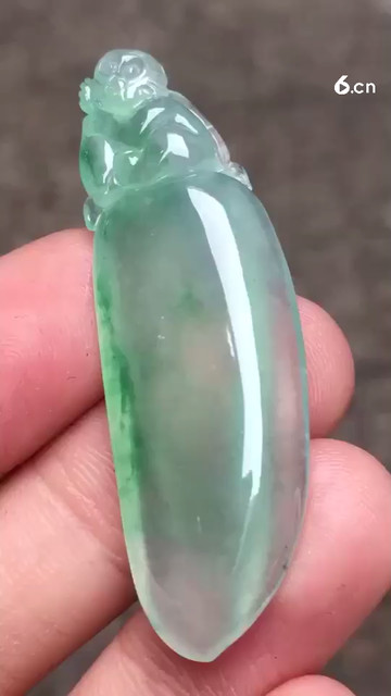 高冰绿瓜，种老起光5980